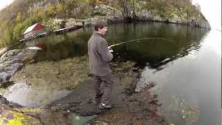 Fishing in The Fjords of Norway [upl. by Silda]