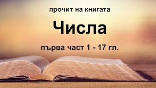 Числа  1 част 1  17 гл [upl. by Senn]