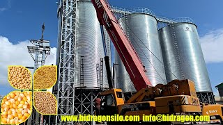 What is a Silo for Storing Grains WSAP8613373703313 [upl. by Neelasor598]