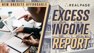 Excess Income Report [upl. by Irollam819]