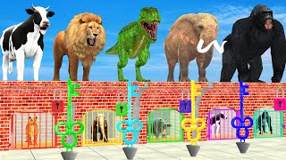 Dont Choose The Wrong Key With Elephant Cow Lion Gorilla Escape From The Color Prison Animals Game [upl. by Awad174]