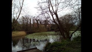 Walking Tanners Brook Lordsdale Greenway Southampton UK [upl. by Ahsemrac]