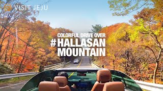 4K Travel Colorful Drive Over Hallasan Mountain [upl. by Hasseman]