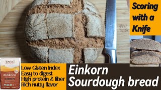 Einkorn Sourdough Bread Ancient grain  Low Gluten amp High Protein and Fiber [upl. by Montagu]