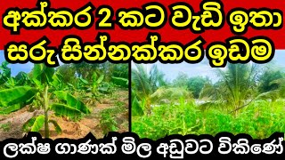 අක්කර 2 කට වැඩි සින්නක්කර ඉඩම ඉක්මණින් විකිණේ  Land for sale  Aduwata idam  idam sale  Lands [upl. by Nylirehc]