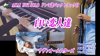 🔰【EWI SOLO】ドレミ譜付き 「白い恋人達」サザンオールスターズ [upl. by Mcmath]