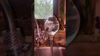 Schauberger water vortex for the kitchen sink  premiumglass on Instagram [upl. by Akenor]