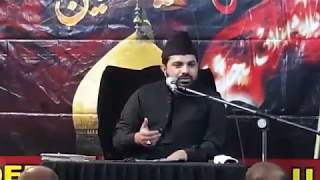 Allama Asif Raza Alvi 1st Muharram 2018 Majlis Al Haider Trust London [upl. by Ijan]