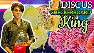 FJ DISCUS  CHECKERBOARD DISCUS SPECIALIST [upl. by Seamus]