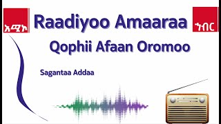 AMECO HIBIR Radiyoo Amaaraa Sagantaa Afaan Oromoo Oduu Wiixata 25 02 2017 [upl. by Nnyrb]