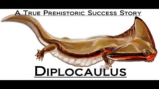 Prehistoric Breakdown Diplocaulus [upl. by Christabelle922]