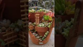 Building Decoration Terrarium in Planter planter gardendecor [upl. by Akinimod]