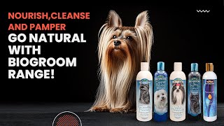 Top Groomers’ Choice Biogroom Shampoo Range for Every Pet Coat [upl. by Dulcie628]