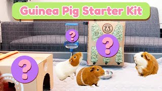 Guinea Pig Care Starter Kit for Beginners The Essentials  GuineaDad [upl. by Parks]