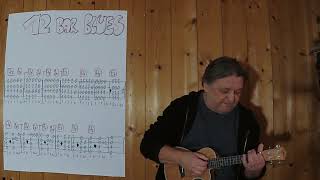 UKULELE Lesson  656 12 BAR BLUES [upl. by Daisie]