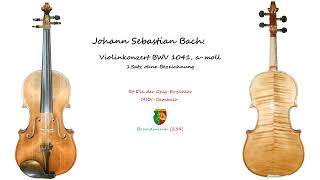 Johann Sebastian Bach Violinkonzert amoll BWV 1041 1Satz ohne Bezeichnung [upl. by Hteazile]