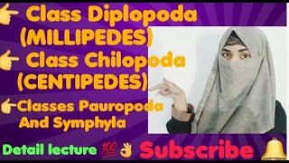 Class Diplopoda MILLIPEDES Class Chilopoda CENTIPEDES Classes Pauropoda And Symphyla [upl. by Rattray]