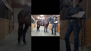 Western Dressage Quick Tips [upl. by Nalyad398]