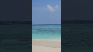 Local islands in Maldives true paradise maldives rasdhoo [upl. by Gervase]