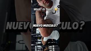 Hernia muscular o lipoma🧐 gimnasio gym shortgym short culturismo gymtips consejosgym [upl. by Pulsifer]