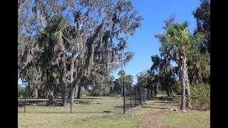 Dog Park Colony Cove Ellenton Florida  Roaming the Cove with Les Williams [upl. by Elstan]