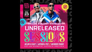 Unreleased Sessions  Mellow amp Sleazy B2B Justin99 amp Pcee [upl. by Chubb434]