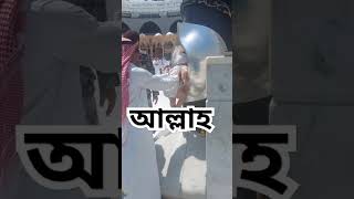 আল্লাহর কাছে সবচেয়ে প্রিয় কথা চারটি ইসলামিকভিডিও ইসলামিক আল্লাহুআকবার আলহামদুলিল্লাহ [upl. by Payson]