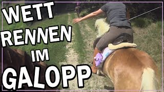 Wettrennen im Galopp ✮✮✮✮✮ [upl. by Roselani]