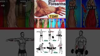 Hand Forearms grow Get muscular Forearms exercise Big size hand Forearmsworkout shortshandforearm [upl. by Naic]