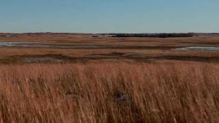 Guarding the Ogallala [upl. by Emmott]