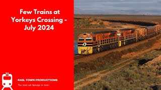 Few Trains at Yorkeys Crossing  July 2024 [upl. by Oicangi432]