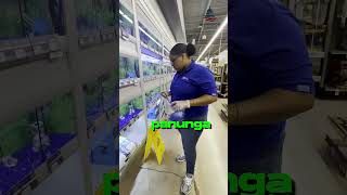 😍 இவ்வளவு Pets ah 😂😂 🔥Atrocities 🔥 அமெரிக்காவில் 💥USA Tamil Vlogs🇺🇸🔥Shorts [upl. by Sherrard]