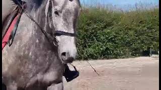 Methven equine centre [upl. by Yerfej]