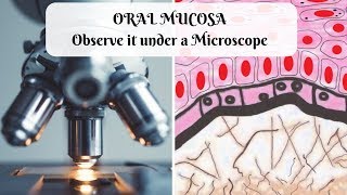 ORAL MUCOSA Observe it under a Microscope [upl. by Ahseina]