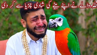 Allah Wale Ne Apne Bete Ki Shadi Ak Chdiya Se Kar DiAllah WaleIslamic Moral Story Urdu InHindi [upl. by Nashner]