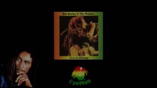 2Bob Marley amp The Wailers Live at Quiet Knight Club Chicago 10675 [upl. by Acillegna819]