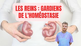 PHYSIOLOGIE DES REINS  LES GARANTS DE LHOMÉOSTASIE ACIDOBASIQUE ET MINÉRALE 🏆 [upl. by Odirfliw]