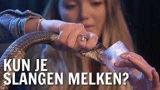 Kun je slangen melken  De Buitendienst over Gif [upl. by Levon149]