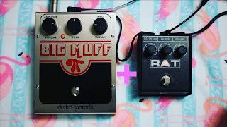 Boosting a Big Muff Electro Harmonix With a ProCo Rat [upl. by Emerson193]