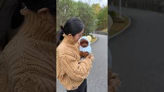 🐕🐾What beautiful Winter clothespets dog shopify ecommerce dropshipping youtubeshorts tiktok [upl. by Esiuol]