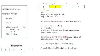 شرح Insertion  Sort Algorithm الدرس 1 [upl. by Shelton]