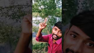 bhojpuri song viralvideo hindisongstetus love hindisongsstaus [upl. by Hutton]