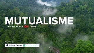 MUTUALISME  Film Dokumenter Imbal Balik Hutan Hujan Tropis dan Manusia [upl. by Hengel500]