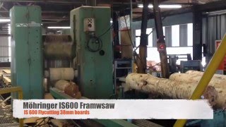 Möhringer IS600 Framesaw [upl. by Anomor]