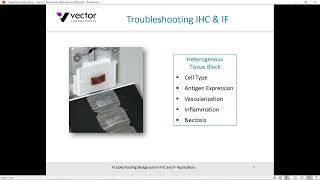 Troubleshooting background in IHC and IF applications [upl. by Dina]