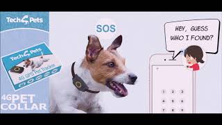 Tech4Pets  4G Pet Tracker [upl. by Aicirtal]