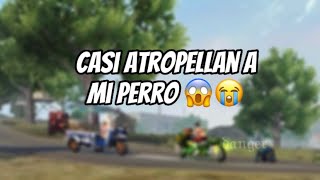 ASÍ ES COMO ATROPELLARON A MI PERRO EN FREEFIRE 😭 freefire [upl. by Durman]