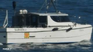 Zooming in on Small Survey Boat quotElyssequot with Nikon P1000 [upl. by Nyladnarb431]