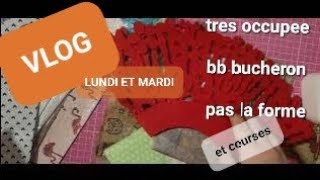 vlog 2 jours  un peu de coursesun peu ronchonmon quotidien bb bucheron  etc etc [upl. by Asseram]