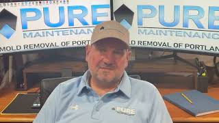 Pure Maintenance Mold Removal For Plumbers [upl. by Perl]